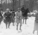 Polowanie na dziki w ordynacji księcia Karola Mikołaja Radziwiłła w styczniu 1936 roku.