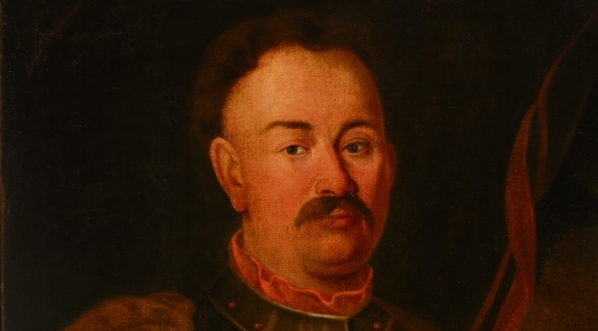  "Portret Pewła Benoe (? -1755) instygatora koronnego i kasztelana warszawskiego".  