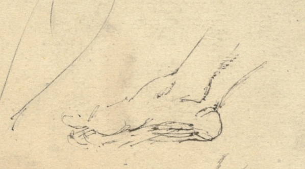  Cyprian Kamil Norwid, studium nóg i ręki  (ok. 1860 r.)  