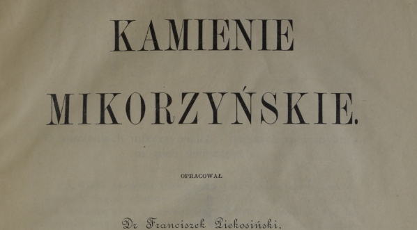  Franciszek Piekosiński "Kamienie mikorzyńskie" (strona tytułowa)  