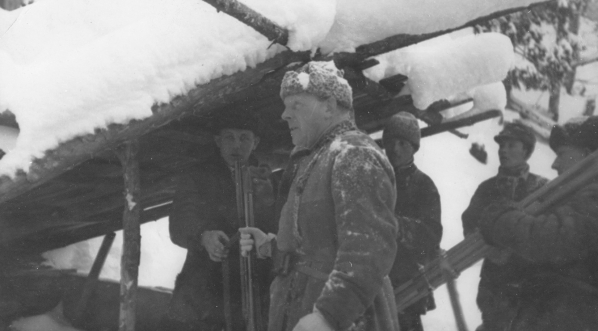  Polowanie na niedźwiedzie w nadleśnictwie Sołotwina, w lasach należących do hrabiego Adama Zdzisława Zamoyskiego w styczniu 1931 roku.  