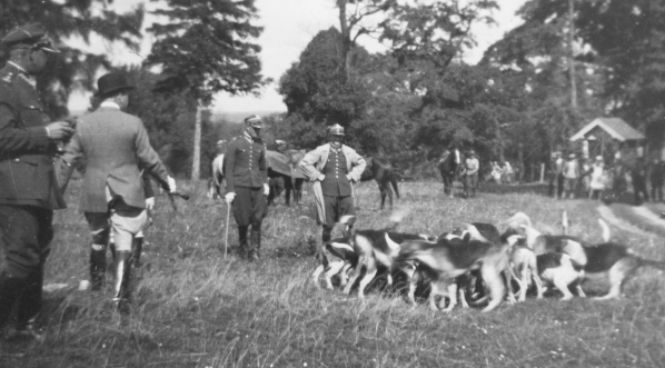  Polowanie konne w ordynacji hrabiego Alfreda Potockiego w Łańcucie w 1931 r.  