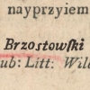 Michał Hieronim Brzostowski h. Strzemię
