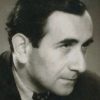 Stefan Strelcyn