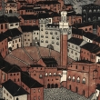 "Siena" Wiktorii Goryńskiej. ...