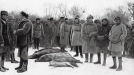 Polowanie na dziki w ordynacji księcia Karola Mikołaja Radziwiłła  w Nieświeżu w styczniu 1936 roku.