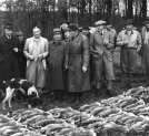 Polowanie reprezentacyjne w lasach Komory Cieszyńskiej, Stalowa Wola listopad 1936 roku.