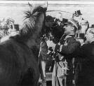Wyścig konny o nagrodę prezydenta RP Ignacego Mościckiego na Polu Mokotowskim w Warszawie, czerwiec 1938 r.