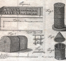 Ryciny z książki "Opisanie gospodarstwa pszczołowego w Szczorszach sporządzone roku 1785" Joachima Litawora Chreptowicza.