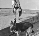 Pisarz Julian Stryjkowski nad morzem w sierpniu 1975 r.