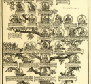 Drzewo genealogiczne rodzin: Tarwnoskich, Melsztyńskich i Jarosławskich.