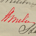  Amelia Starowieyska (z domu Łubieńska)  