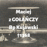  Maciej z Gołańczy h. Pałuka  