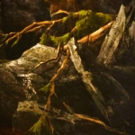  Maria Magdalena Andrzejkowicz-Butowt  