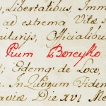  Pius Franciszek Boreyko v. Borejko  