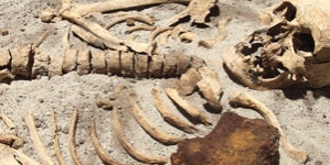 ODKRYCIE SZCZĄTKÓW GENIUSZA