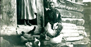 ROKOSZ KOKOSZY