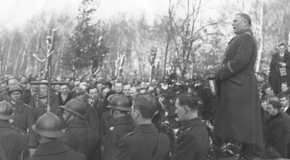  Uroczystości rocznicowe bitwy pod Rarańczą w Warszawie 18.02.1933 r.  
