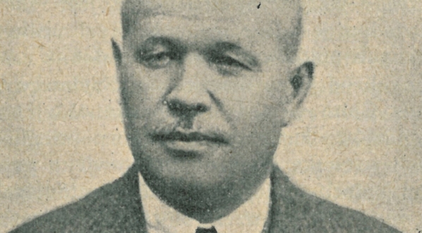  Jan Ptaśnik.  