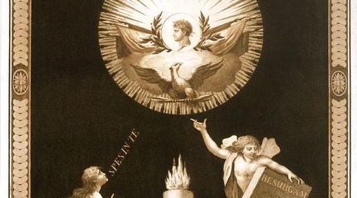  "Transparent na cześć Napoleona".  