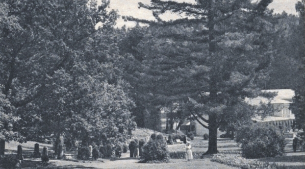  "W iwonickim parku".  