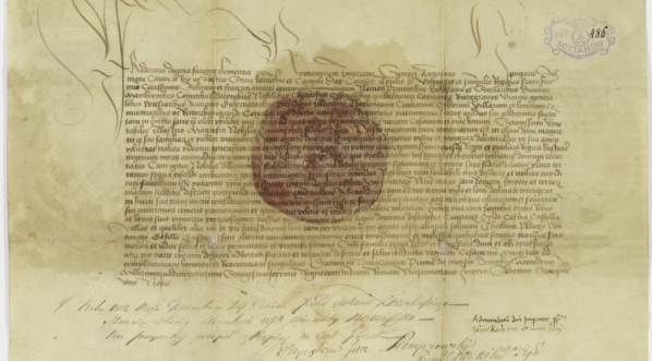  Paszport Aleksandrowicz Sołtana podróżującego do Jerozolimy  