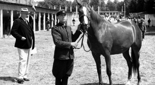  Pokaz koni w Lublinie w 1939 roku.  