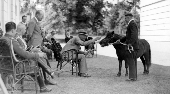  Prezydent RP Ignacy Mościcki ogląda konie w majątku ordynata Alfreda Potockiego w Łańcucie, lipiec 1929 r.)  