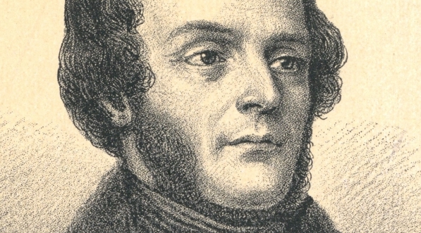  "Stefan Witwicki" Theodora Meyerhofera.  