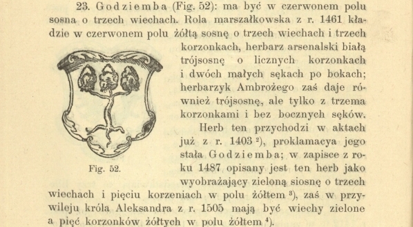  "Heraldyka polska wieków średnich" Franciszka Piekosińskiego. (3)  