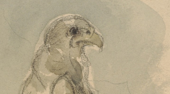  Cyprian Kamil Norwid "Drapieżny ptak" (1841-1883 r.)  