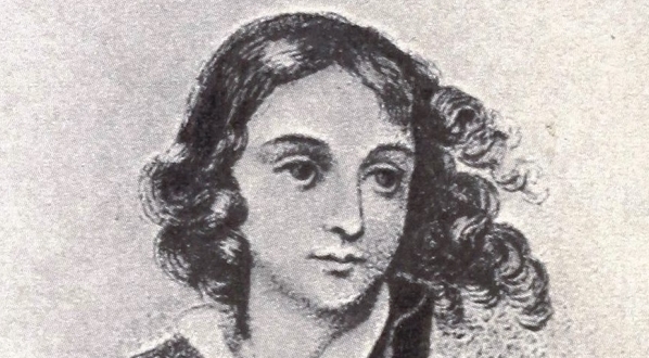  "Emilja Plater : powieść historyczna z XIX w." Wacława Gąsiorowskiego.  