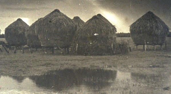  "Polesie" Stefana Plater-Zyberka.  