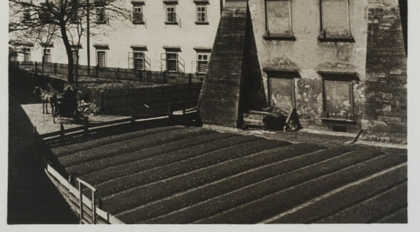  Lwów, kościół oo. bernardynów od wschodu. (fot. Adam Lenkiewicz)  