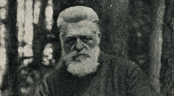  Władysław Zamoyski.  