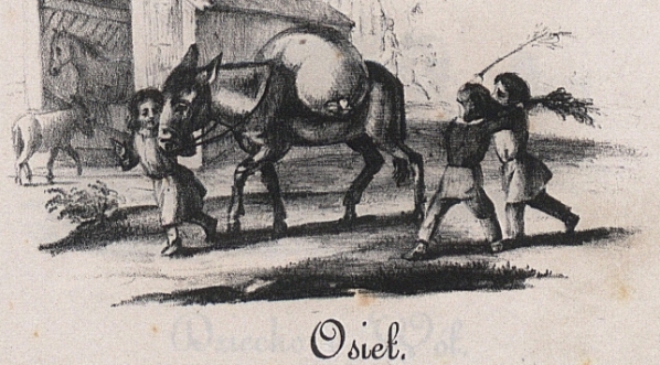  "Osieł" Konstancji Łubieńskiej.  