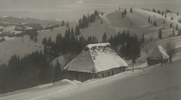  Bieszczady, Sławsko, droga na Wysoki Wierch. (fot. Adam Lenkiewicz)  