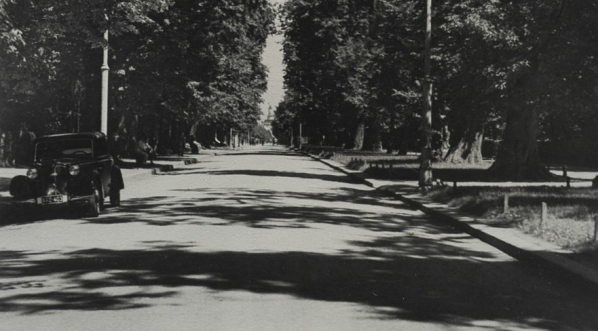  Stanisławów, Aleja Lipowa Ułanów Krechowickich. (fot. Adam Lenkiewicz)  