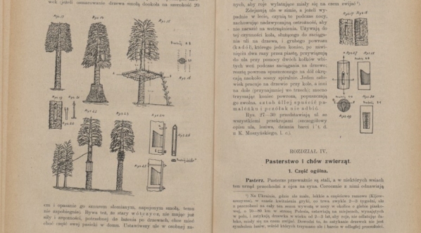  Czesław Pietkiewicz "Polesie Rzeczyckie: materjały etnograficzne. " (fragment)  