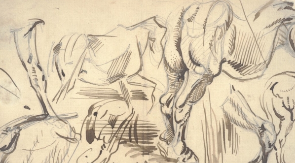  Cyprian Kamil Norwid, studia konia (1841-1883 r.)  