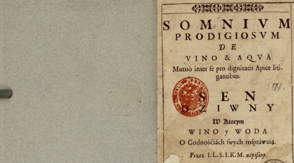  Jan Libicki "Somnivm prodigiosvm de vino ..." (strona tytułowa)  