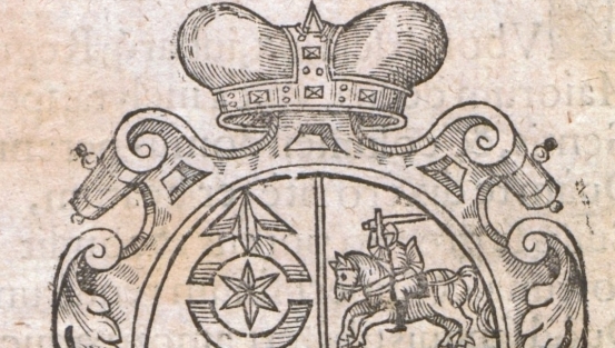  "Epithalamivm illustrissimis nouis coniugibus Stanislao Comiti in Wisnicz Lubomirski [...] et Sophiae Alexandri ducis in Ostrog [...] filiae" Piotra Mucharskiego (3).  