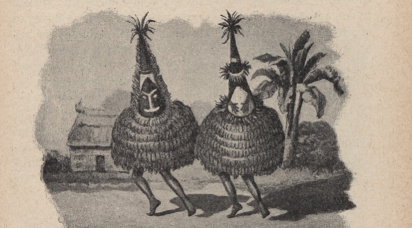  "Gieografja malownicza : z wrażeń podróżników. 1, Australja (z Polinezją)" Wacława Nałkowskiego.  