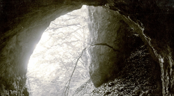  "Wejście do jaskini w Złotym Potoku" Stefana Plater-Zyberka.  