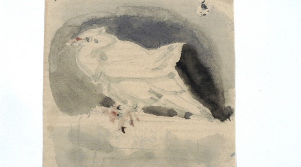  Cyprian Kamil Norwid "Biały gołąb" (1841-1883 r.)  