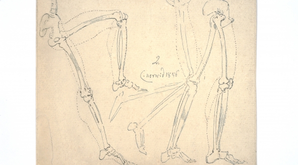  Cyprian Kamil Norwid, studia kośćca ludzkiego (1856 r.)  