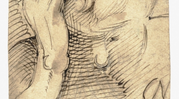  Cyprian Kamil Norwid, studium zadumanego mężczyzny (po 1870 r.)  