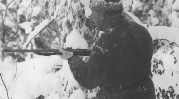  Polowanie na niedźwiedzie w nadleśnictwie Sołotwina, w lasach należących do hrabiego Adama Zdzisława Zamoyskiego. (styczeń 1931 r.)  