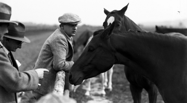  Stadnina książąt Sanguszków w Gumniskach. (1931 r.)  