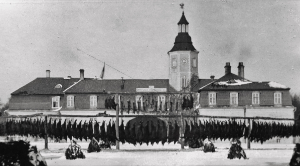  Polowanie w ordynacji księcia Karola Mikołaja Radziwiłła w lutym 1937 roku. (3)  